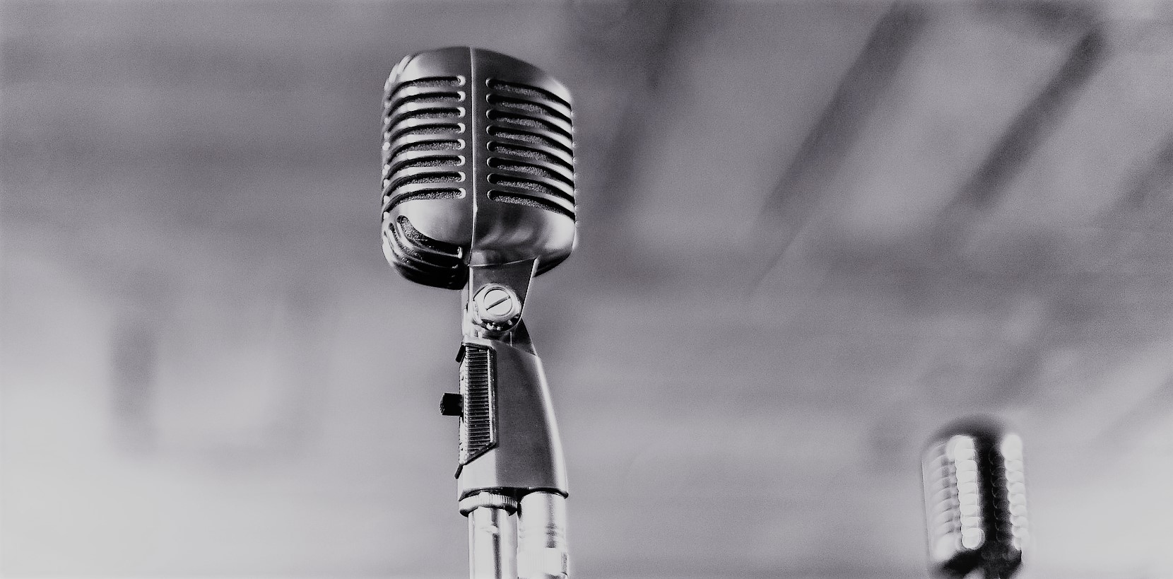 Voice Search Microphone