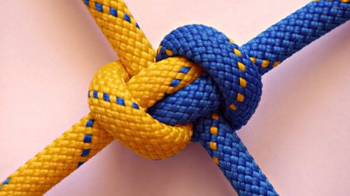 Client Agency Relationship Knot