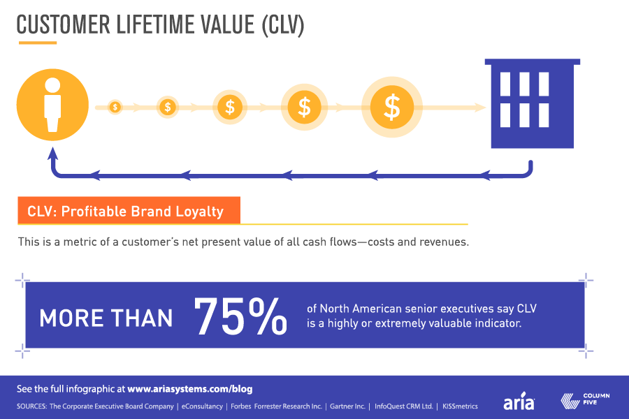 Customer Lifetime Value ROI