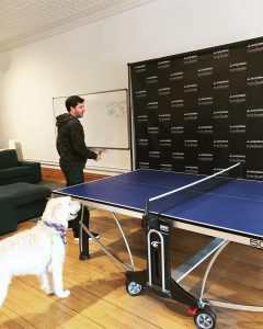 Dog Maddy "ruffereeing" a ping pong match!