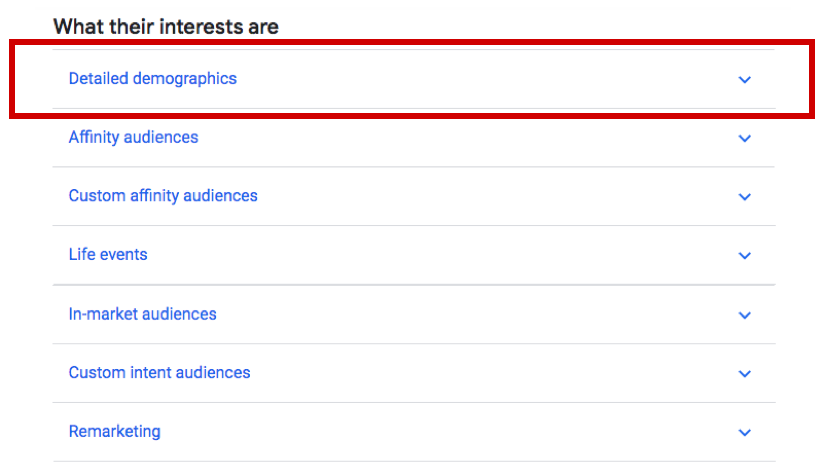 Detailed Demographics Audiences