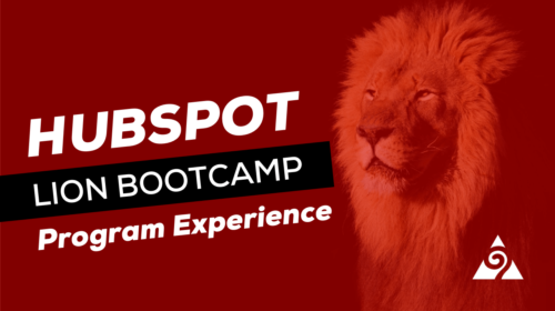 hubspot lion bootcamp program experience