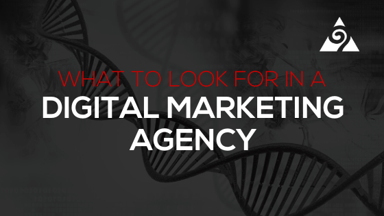 what to look for in a digital marketing agency